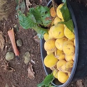 Meet your Posher, Ellen